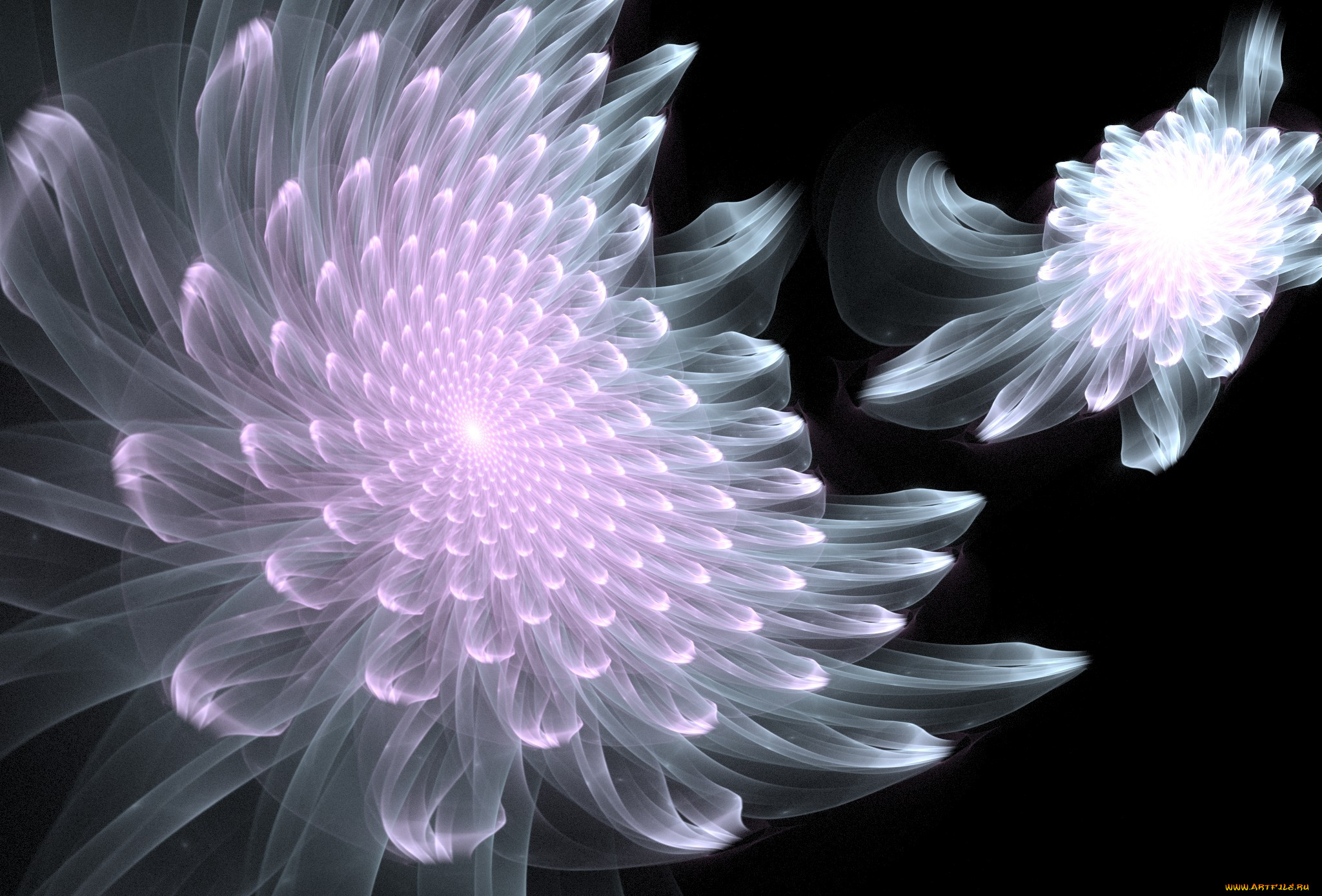 3, , flowers, , , , 